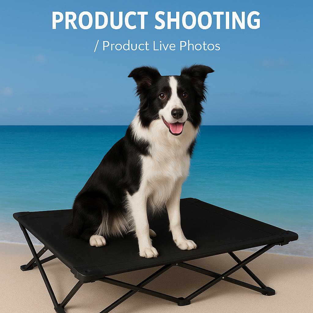 Pinepaw Foldable Elevated Pet Bed