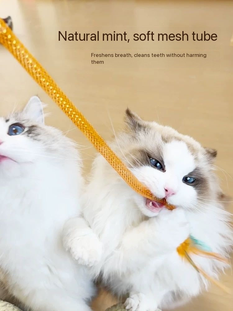 Cat Toy Wand Interactive Flashing Cat Teaser Wand Toys for Indoor Cats Buy One Get Two Natural Bird Feather Ball Toys Perfect for Keeping Your Feline Friend Entertained