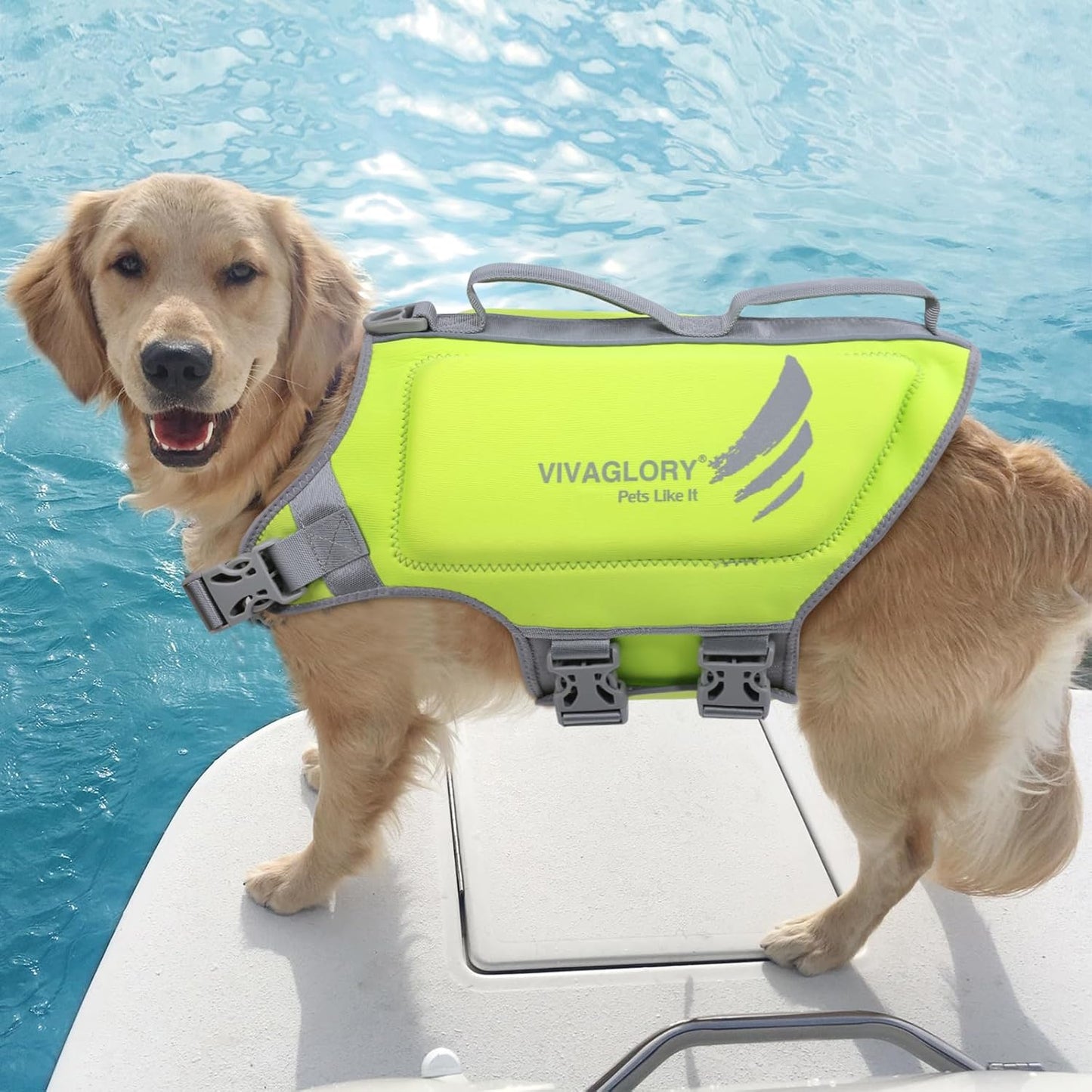 Lightweight Neoprene Dog Life Jackets, Skin-Friendly Pet Life Preserver Life Vest with D-Ring and Quick Release Buckle for Puppy Small Dogs