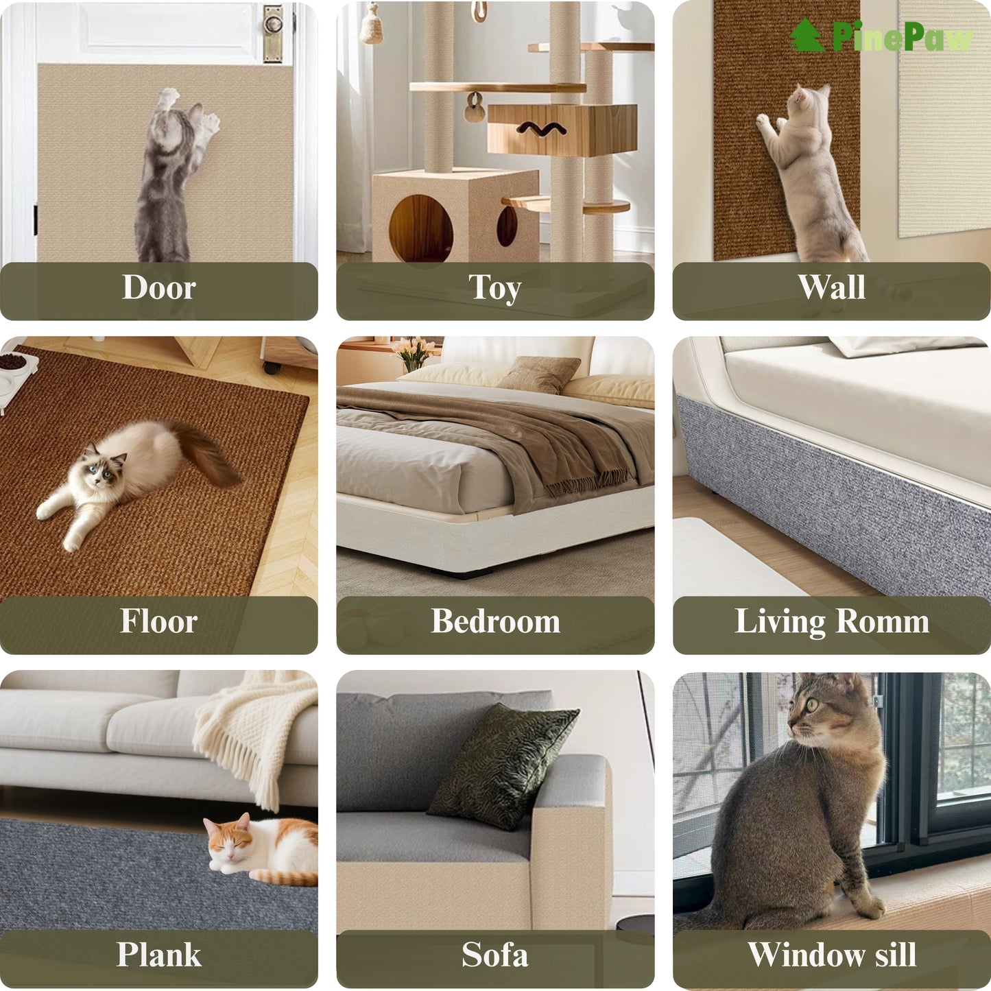 【Exclusive Live Broadcast】carrot