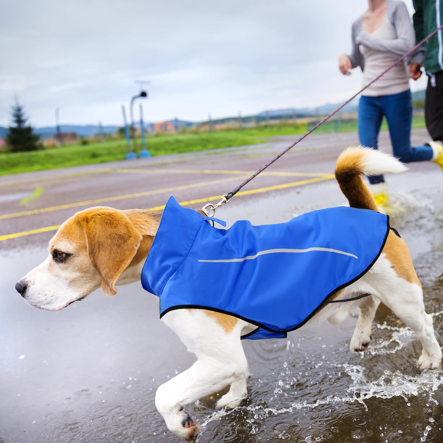 Dog Raincoat, Adjustable Waterproof Reflective Rain Jacket for Small Medium Large Dogs, Lightweight Breathable Pet Rain Coat with Leash Hole