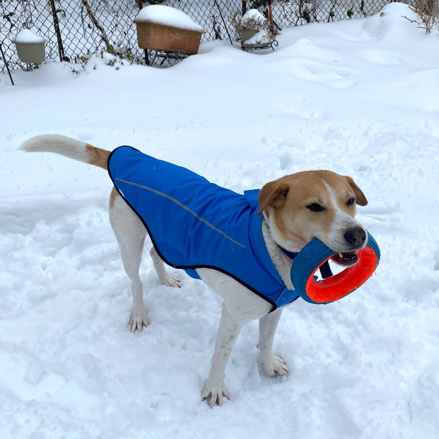 Dog Raincoat, Adjustable Waterproof Reflective Rain Jacket for Small Medium Large Dogs, Lightweight Breathable Pet Rain Coat with Leash Hole