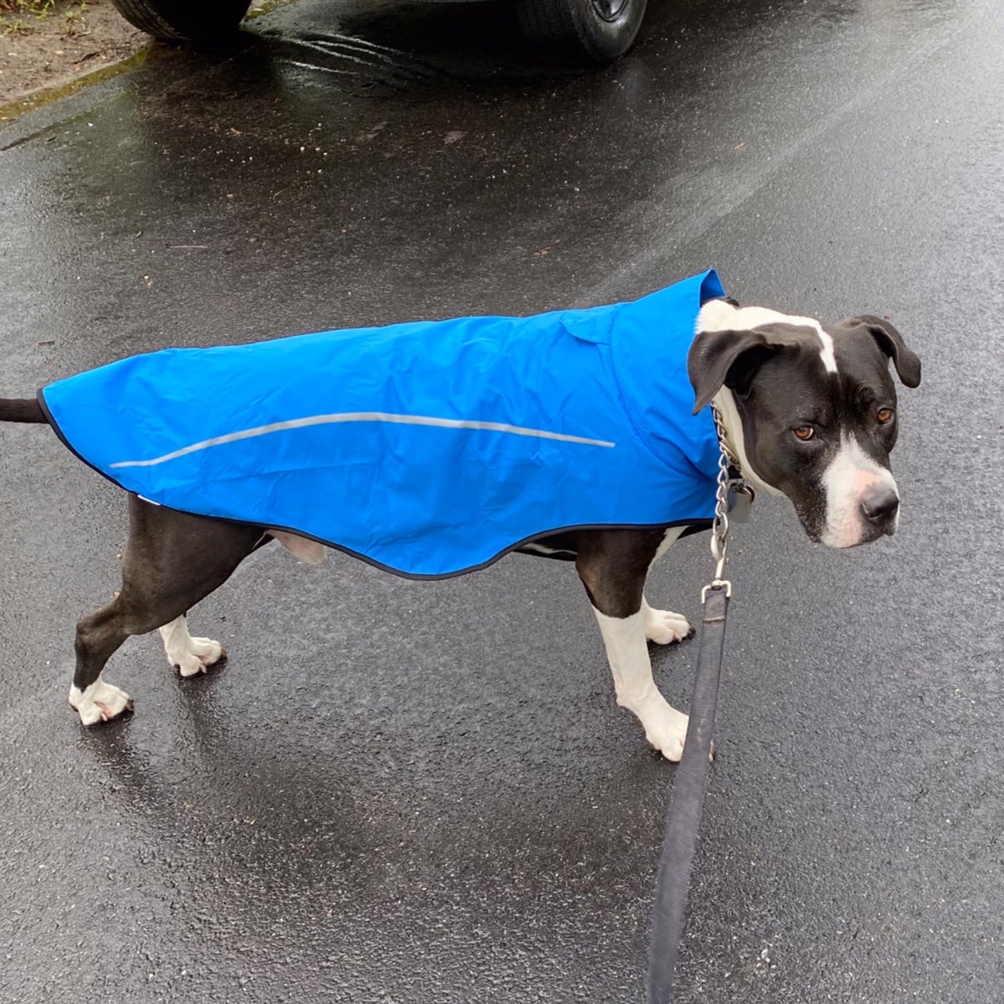 Dog Raincoat, Adjustable Waterproof Reflective Rain Jacket for Small Medium Large Dogs, Lightweight Breathable Pet Rain Coat with Leash Hole