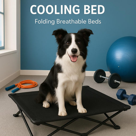 Pinepaw Foldable Elevated Pet Bed