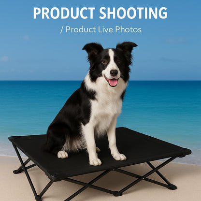 Pinepaw Foldable Elevated Pet Bed