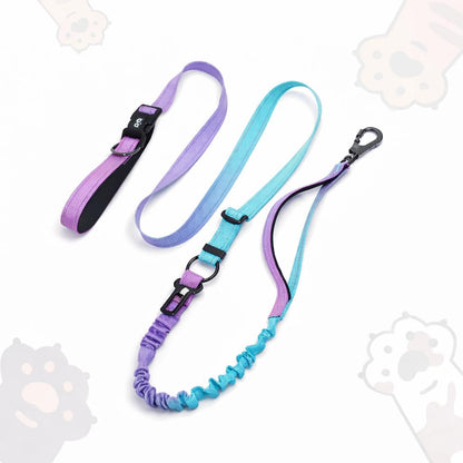 Multi-Functional doggood Anti-Pull Dog harness Leash | Shock-Absorbing Bungee | Hands-Free Crossbody & Waist Leash | Car Seatbelt Compatible | Adjustable Training Lead,Premium Pick | no pull dog harness