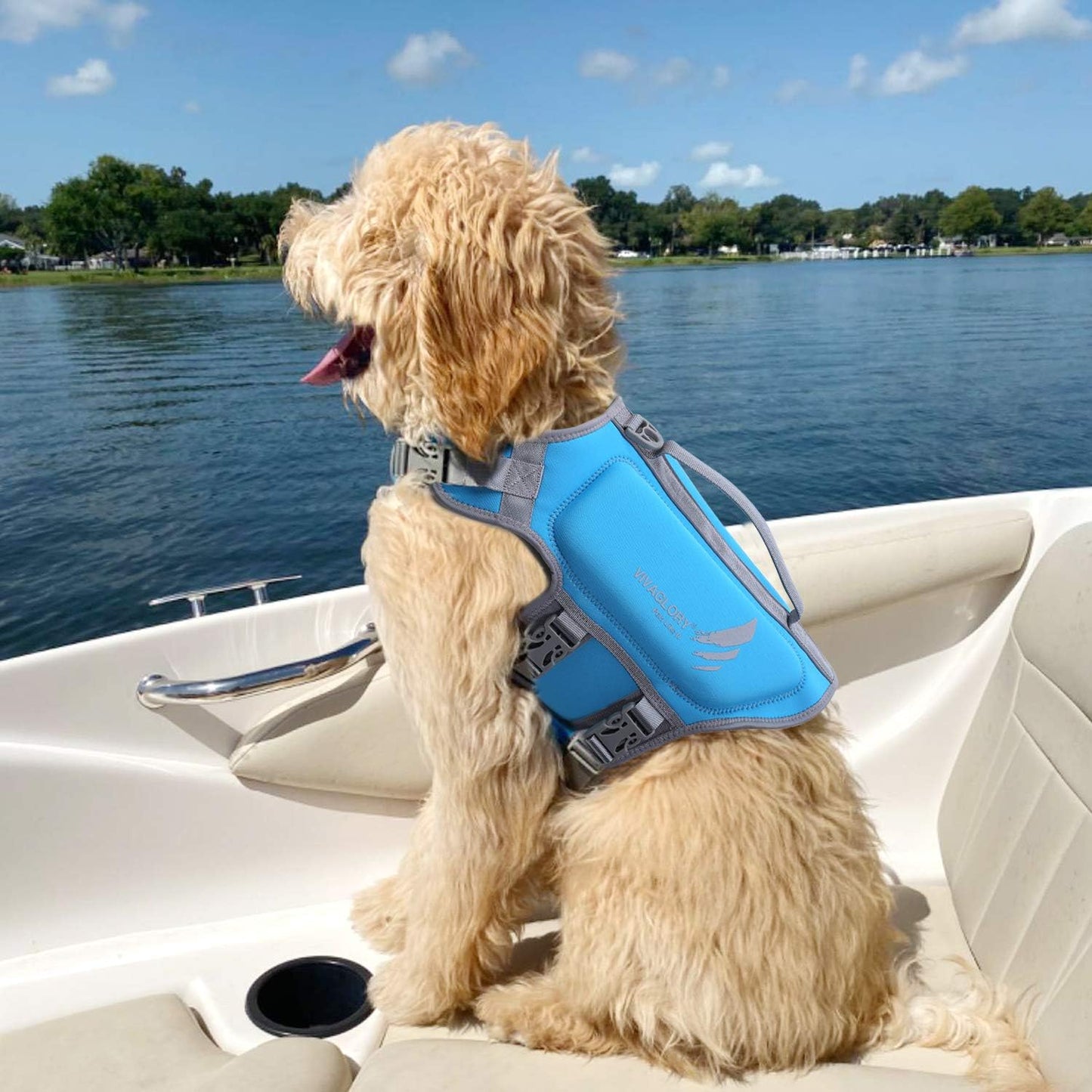 Lightweight Neoprene Dog Life Jackets, Skin-Friendly Pet Life Preserver Life Vest with D-Ring and Quick Release Buckle for Puppy Small Dogs