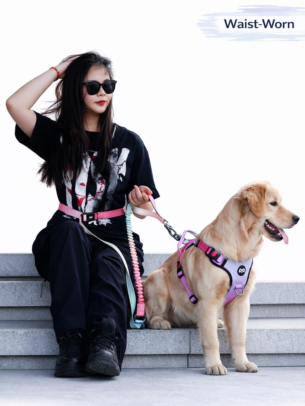 Multi-Functional doggood Anti-Pull Dog harness Leash | Shock-Absorbing Bungee | Hands-Free Crossbody & Waist Leash | Car Seatbelt Compatible | Adjustable Training Lead,Premium Pick | no pull dog harness