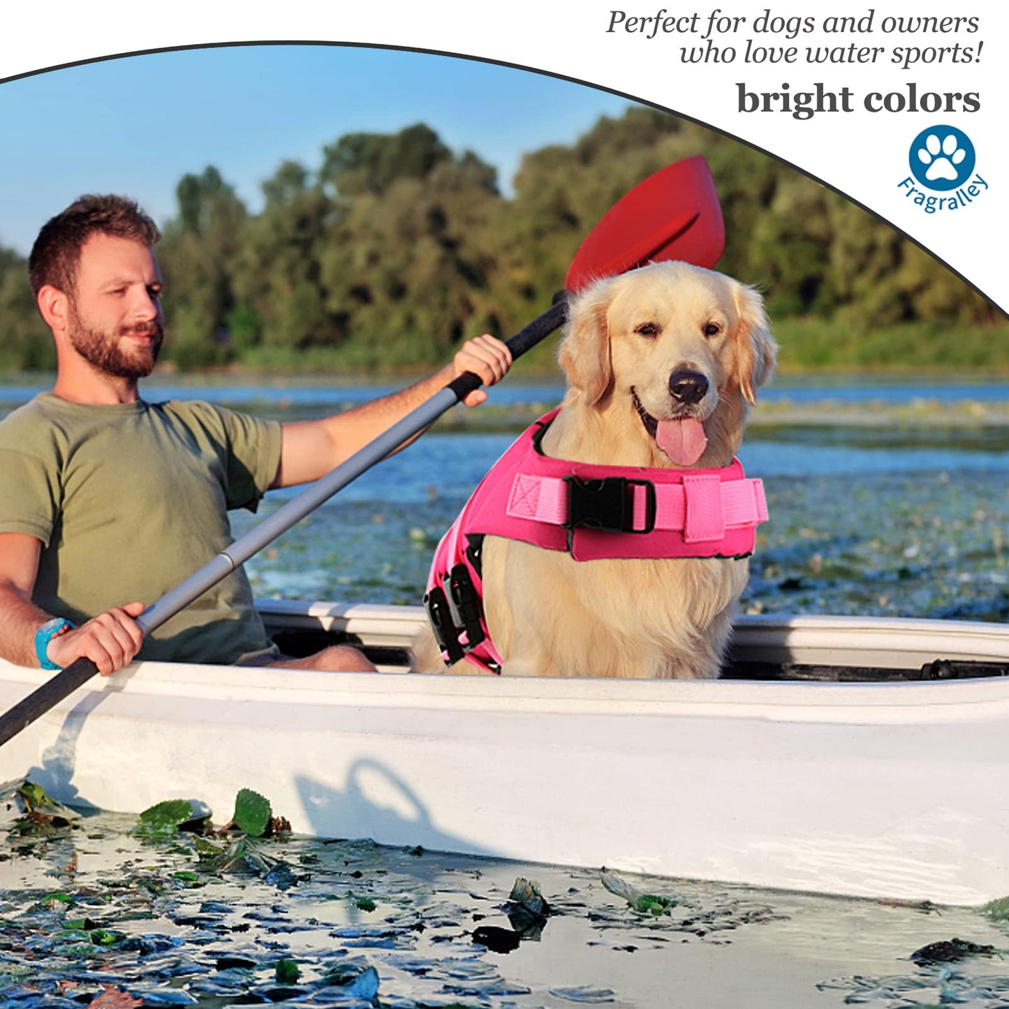 Dog Life Jacket Shark, Dog Life Vest Adjustable Ripstop, Puppy Swimming Safety Vest with Superior Buoyancy & Rescue Handle