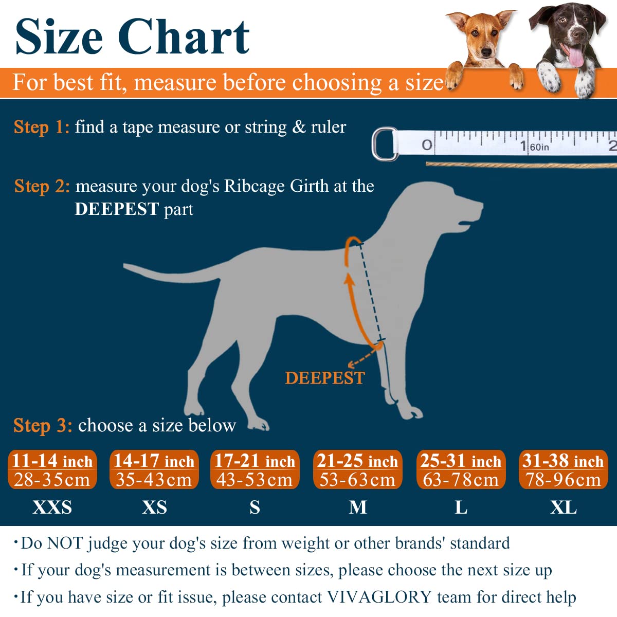 Ripstop Dog Life Jacket for Small Medium Large Dogs Boating, Dog Swimming Vest with Enhanced Buoyancy & Visibility, Cyan