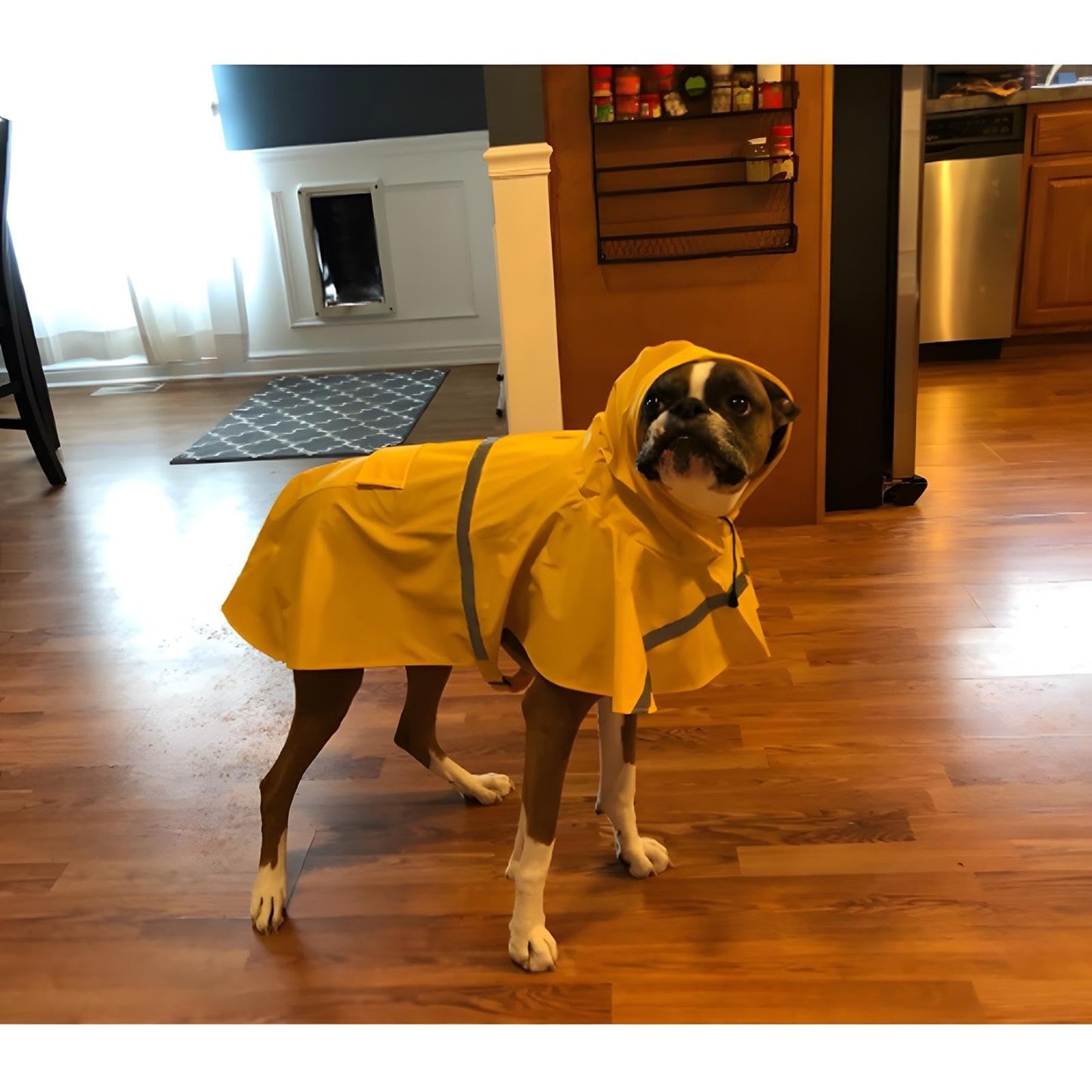 Large Dog Raincoat Adjustable Pet Water Proof Clothes Lightweight Rain Jacket Poncho Hoodies with Strip Reflective