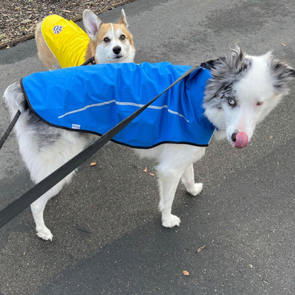 Dog Raincoat, Adjustable Waterproof Reflective Rain Jacket for Small Medium Large Dogs, Lightweight Breathable Pet Rain Coat with Leash Hole