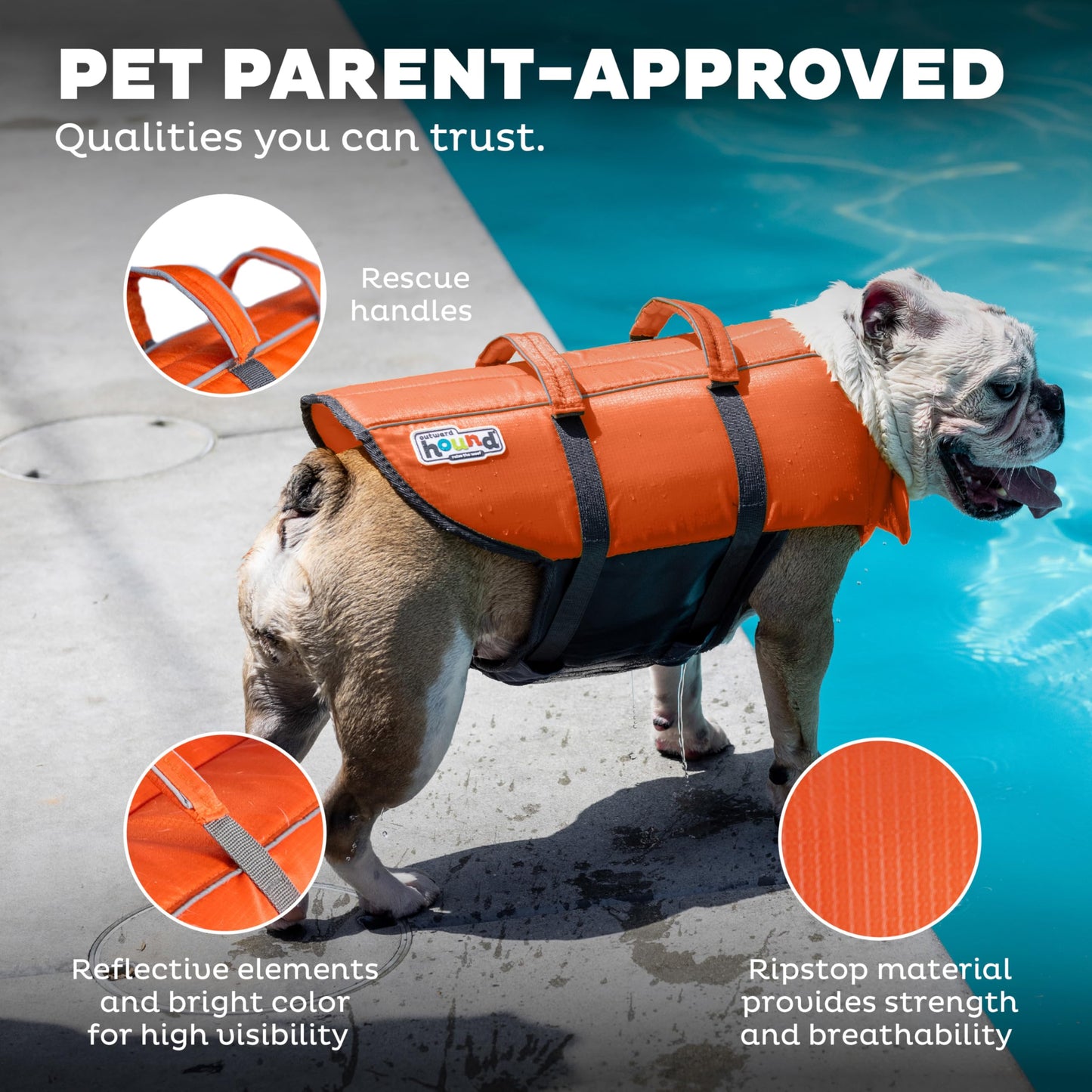 Granby Splash Dog Life Jacket, High-Buoyancy Dog Life Vest for Swimming, Boating, and Water Safety, Large, Orange