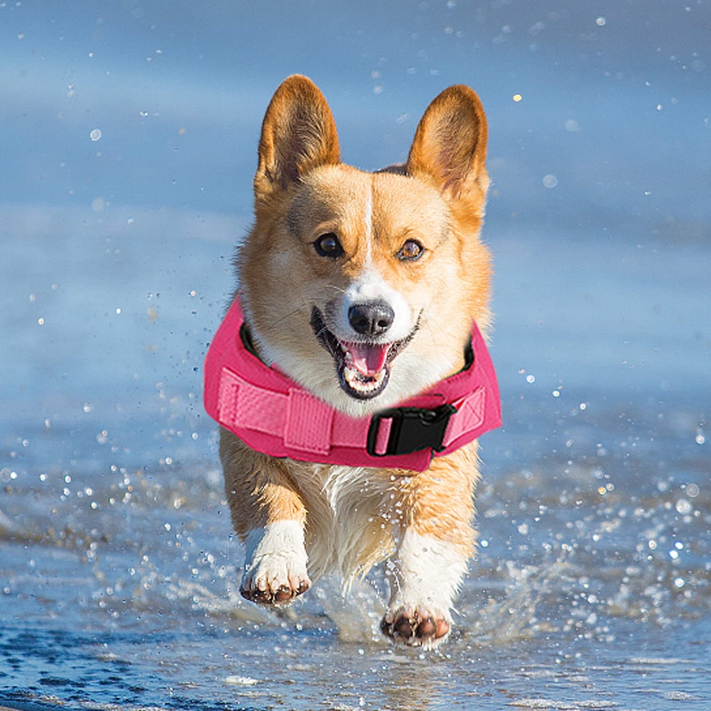 Dog Life Jacket Shark, Dog Life Vest Adjustable Ripstop, Puppy Swimming Safety Vest with Superior Buoyancy & Rescue Handle