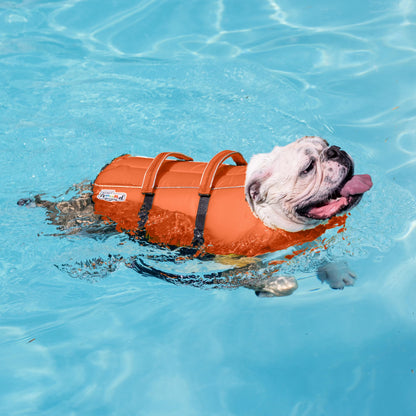 Granby Splash Dog Life Jacket, High-Buoyancy Dog Life Vest for Swimming, Boating, and Water Safety, Large, Orange