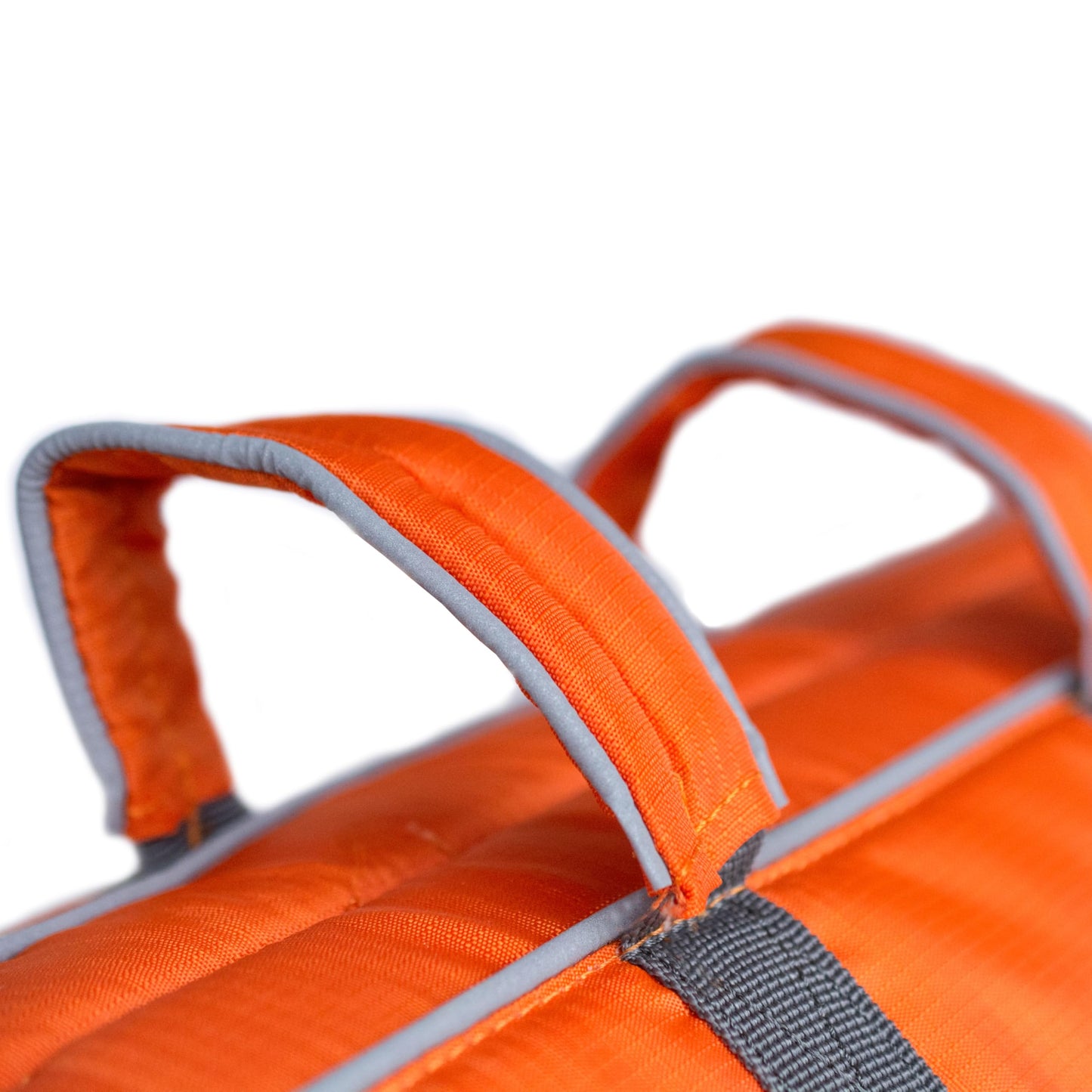 Granby Splash Dog Life Jacket, High-Buoyancy Dog Life Vest for Swimming, Boating, and Water Safety, Large, Orange