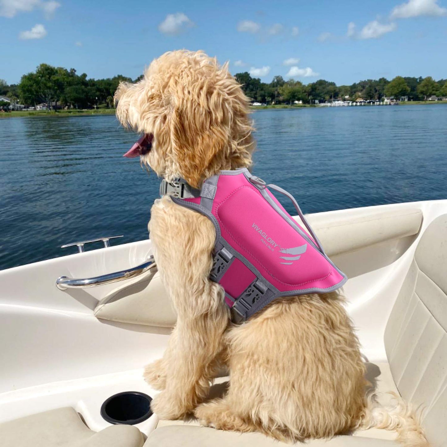 Lightweight Dog Life Jacket, Pet Life Preserver Life Vest Skin-Friendly Neoprene for Medium Dogs with D-Ring and Quick Release Buckle, Pink