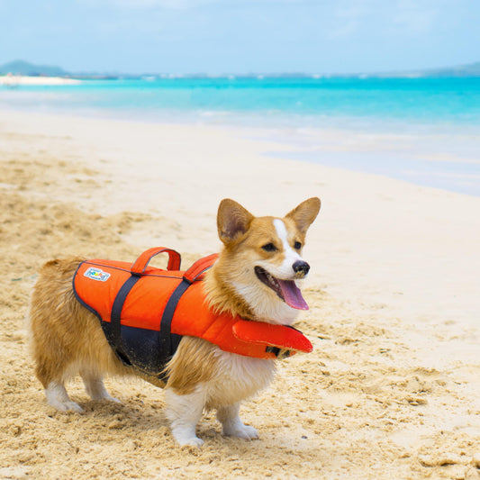 Granby Splash Dog Life Jacket, High-Buoyancy Dog Life Vest for Swimming, Boating, and Water Safety, Large, Orange